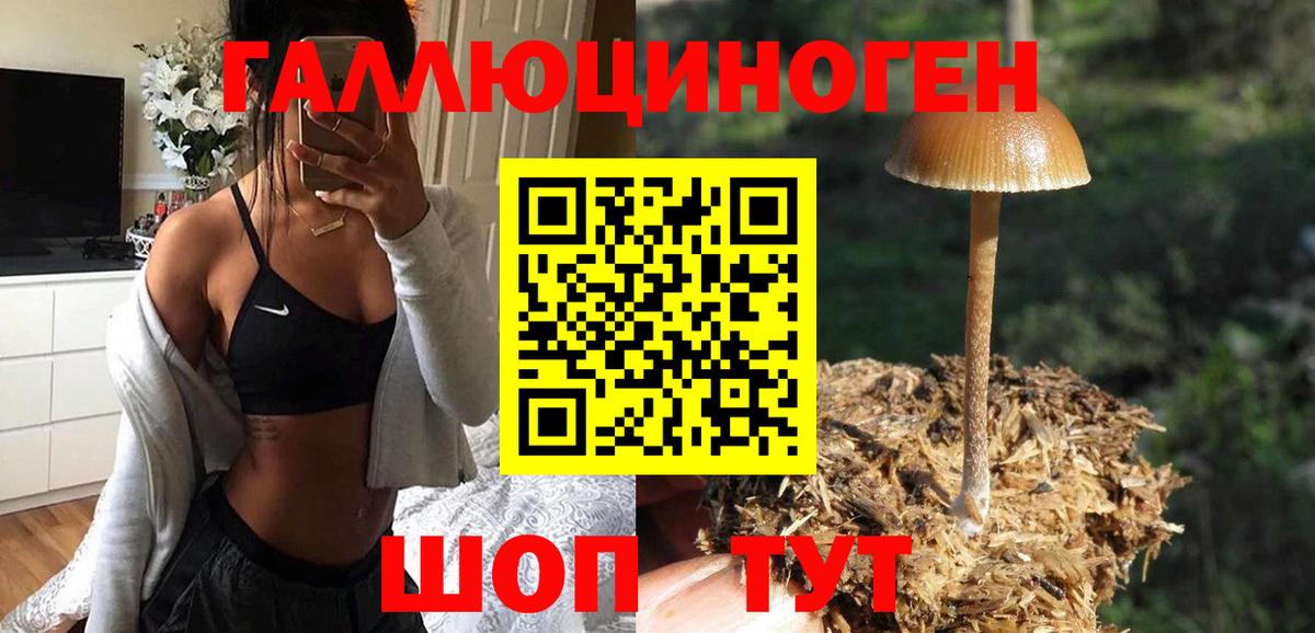 Галлюциногенные грибы прущие грибы Тимашёвск